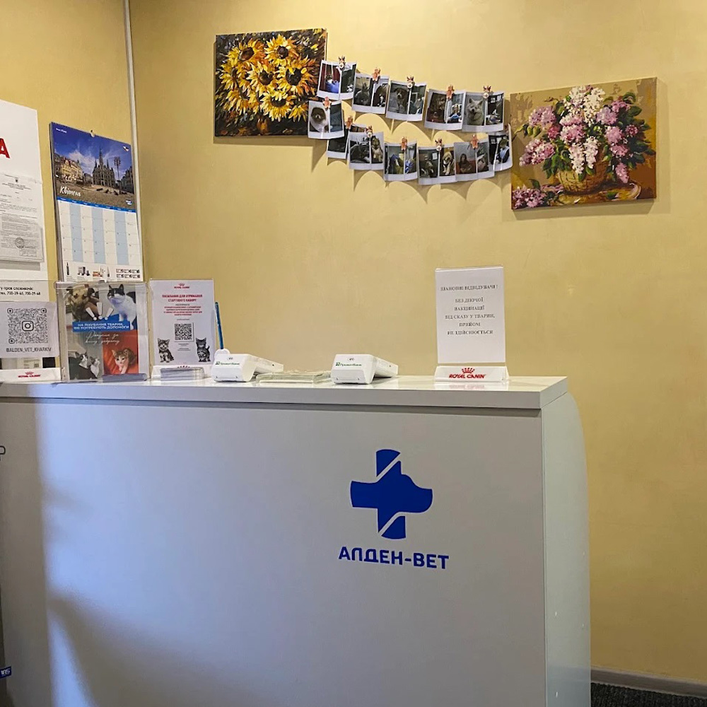 aldenvet-clinica-kharkiv